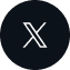 x icon